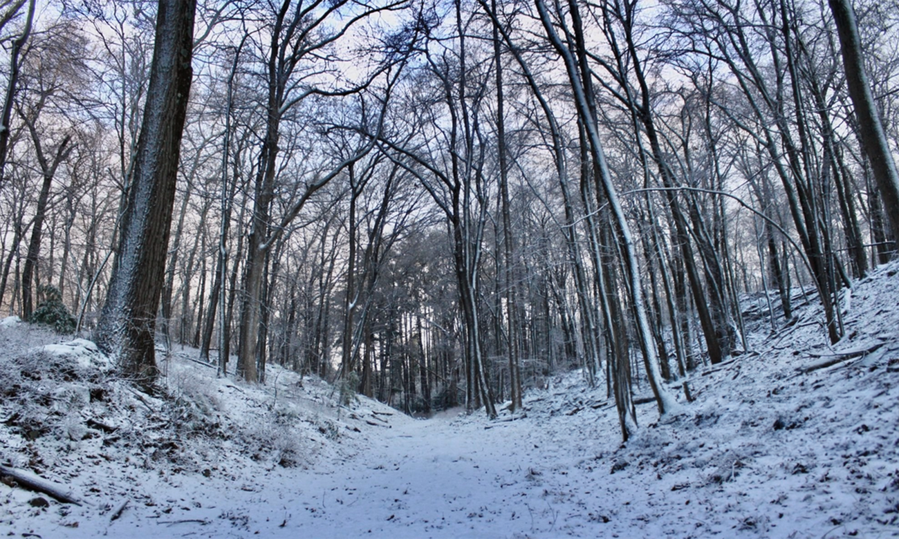 Snowy park