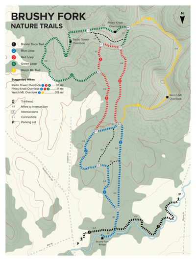 Brushy Fork Trails (Berea College Forest) Preview 1