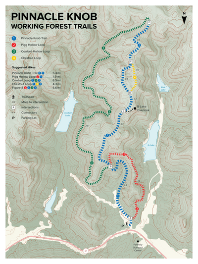 Pinnacle Knob Trails (Berea College Forest) Preview 1