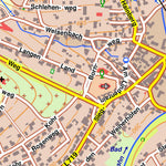 Bezirksregierung Köln Bad Laasphe 9 (1:10,000) digital map