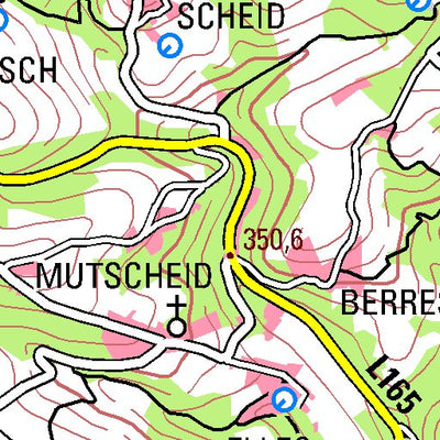 Bezirksregierung Köln Bad Münstereifel (1:100,000) digital map
