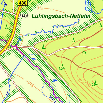 Bezirksregierung Köln Bad Wünnenberg 8 (1:10,000) digital map