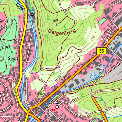Bezirksregierung Köln Bergneustadt (1:25,000) digital map