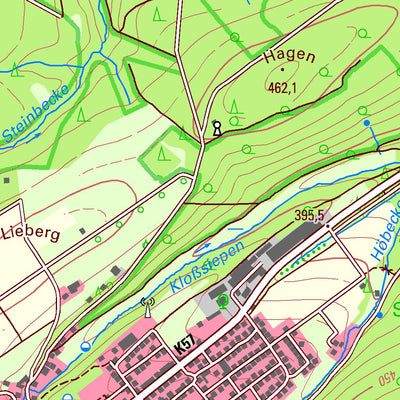 Bezirksregierung Köln Brilon 5 (1:25,000) digital map