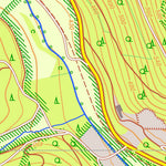 Bezirksregierung Köln Hallenberg 1 (1:10,000) digital map