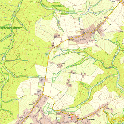 Bezirksregierung Köln Hürtgenwald 1 (1:10,000) digital map