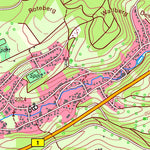 Bezirksregierung Köln Schlangen (1:25,000) digital map