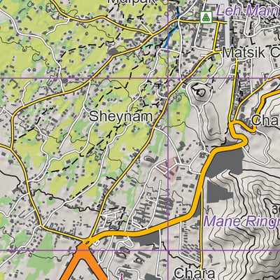 Leh/ LADAKH 1:25.000 UTM43 Preview 2