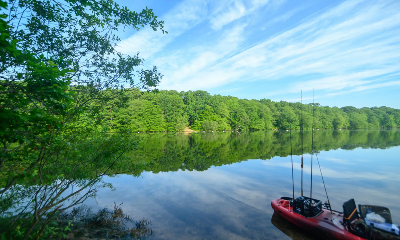 Views of river and trees at Blydenburgh Park