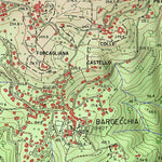 Camaiore T10K Preview 3