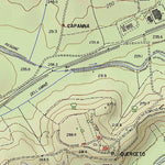 Castelnuovo Berardenga T10K Preview 2