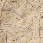 Il Castagno T10K Preview 2