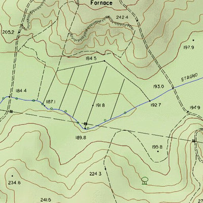 Mucigliani T10K Preview 2