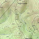 Poggio del Leccio T10K Preview 3