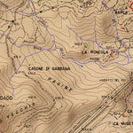 Pollina T10K Preview 2