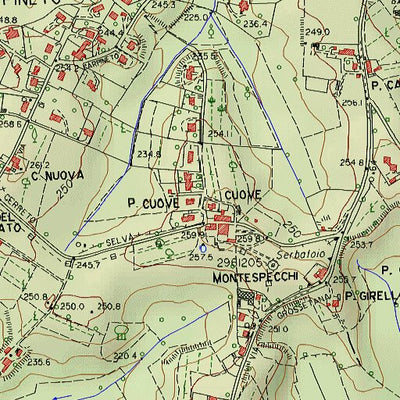 San Rocco a Pilli T10K Preview 2