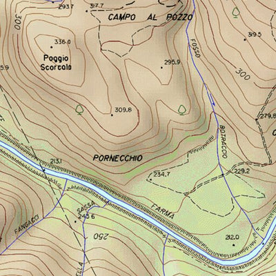 Torniella T10K Preview 3