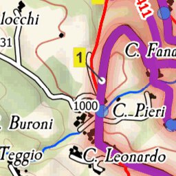 Via Romea Nonantolana Preview 3
