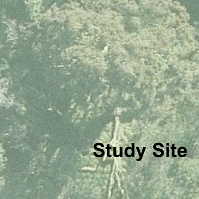 JMR Habitat Hectares Site Map Preview 2