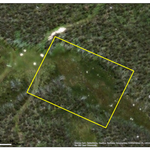 Lake Mountain Vegetation Map Assessment Preview 1