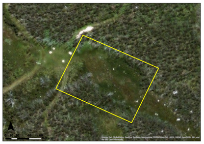Lake Mountain Vegetation Map Assessment Preview 1