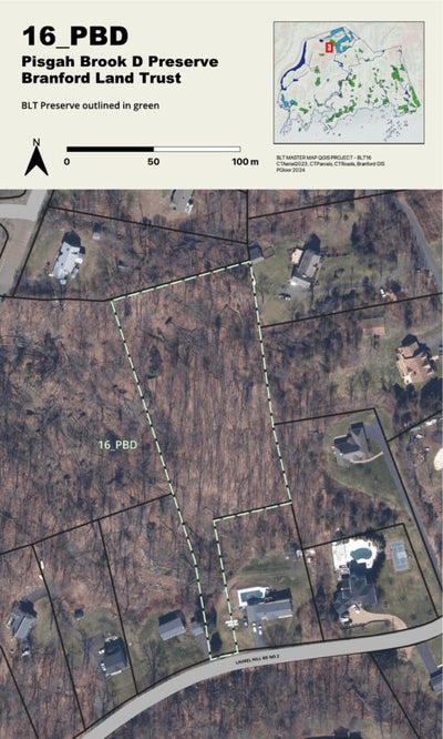 BLT Pisgah Brook D Preserve: 16_PBD Preview 1