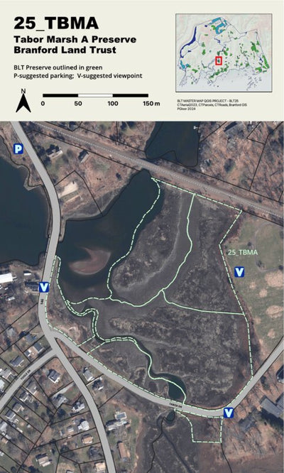 BLT Tabor Marsh A Preserve: 25_TBMA Preview 1