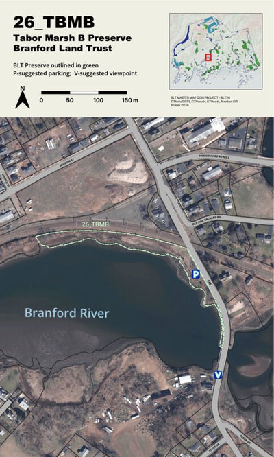 BLT Tabor Marsh B Preserve: 26_TBMB Preview 1