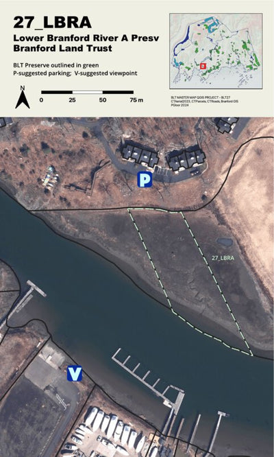 BLT Lower Branford River A Preserve: 27_LBRA Preview 1