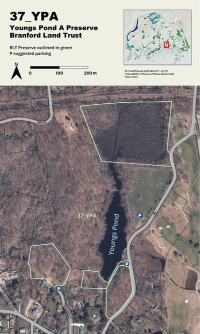 BLT Youngs Pond A Preserve: 37_YPA Preview 1