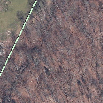 BLT Trolley Trail A Preserve: 38_TTA Preview 2