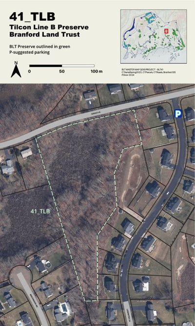 BLT Tilcon Line B Preserve: 41_TLB Preview 1