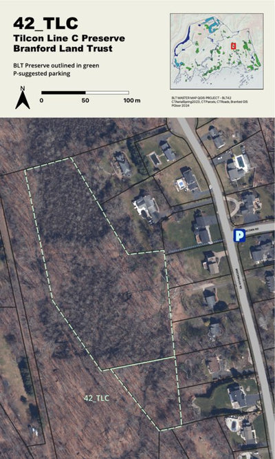 BLT Tilcon Line C Preserve: 42_TLC Preview 1