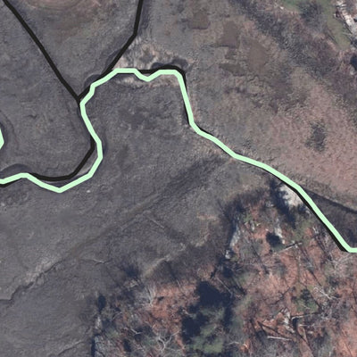BLT Lower Pine Creek E Preserve: 48_LPE Preview 2