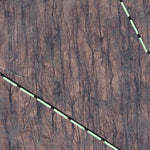 BLT Goldsmith Road A Preserve: 49_GRA Preview 3