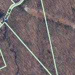 BLT Van Wie Woods A Preserve: 50_VWA Preview 2