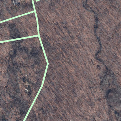 BLT Van Wie Woods A Preserve: 50_VWA Preview 3