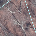 BLT Conservation Easement: 1CE_Lowe Preview 2