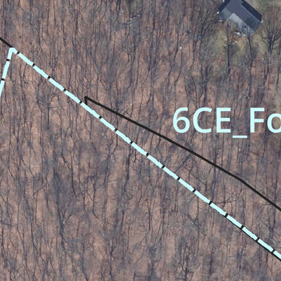 BLT Conservation Easement: 6CE_Foote-Pisgah East Preview 2