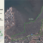 Pawson Marsh A Preserve: BLT29 PMA Preview 1