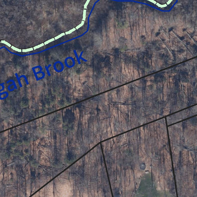 BLT Pisgah Brook B Preserve: 14_PBB Preview 3