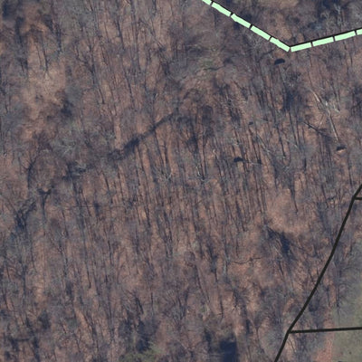 BLT Saltonstall B Preserve: 10_SSB Preview 3