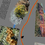 Zion National Park Parus Trail Self Guided Tour Preview 3