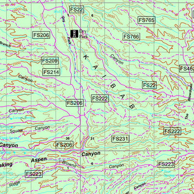 Bureau of Land Management - Arizona BLM Arizona AZ Strip East Visitor Map 1 of 2 (REC3003-01-01) digital map