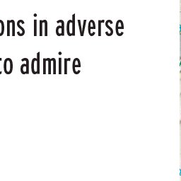 Buckhorn Draw Road, Black Dragon Road Preview 2