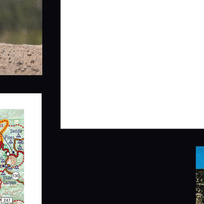 New Mexico Adventure Series Back Side Preview 2