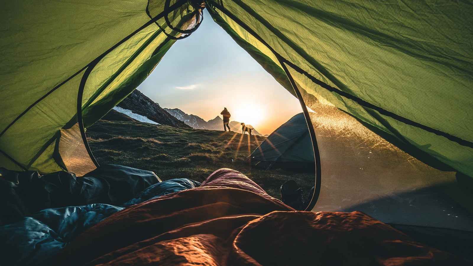 Morning view of a campsite from inside a tent