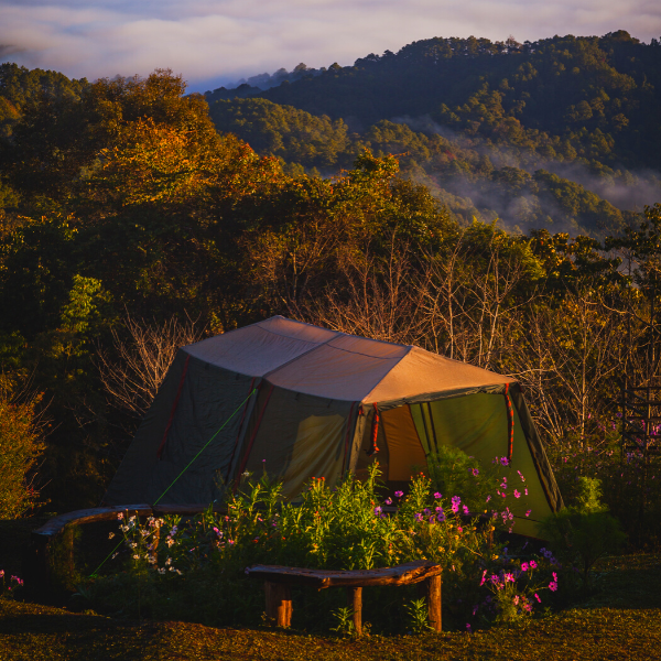 Tent in lush forested campground