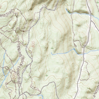 CLCT Town map with parcels Preview 3