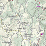CARTAGO Bedonia digital map